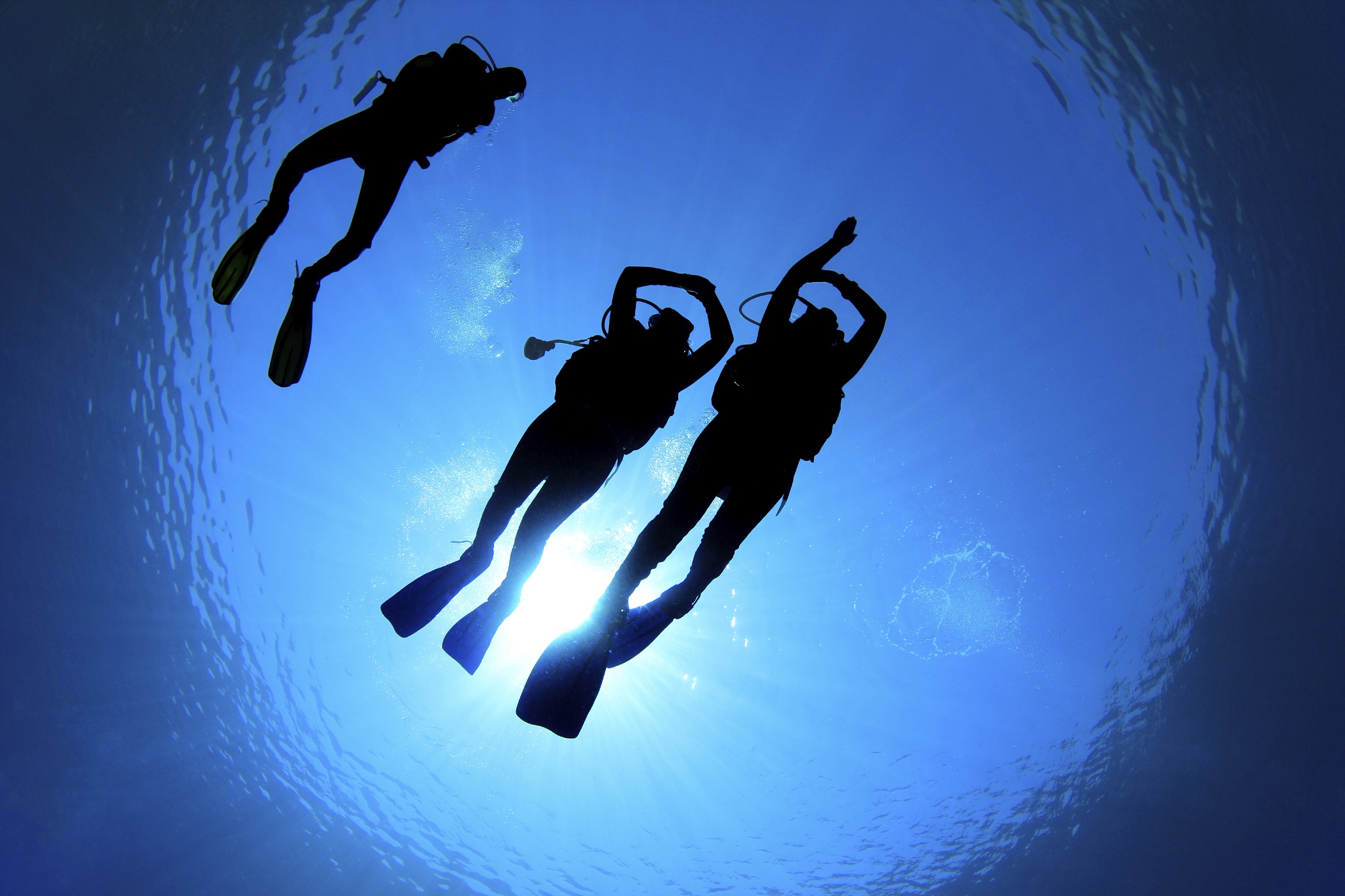 Conseils pour bien débuter la plongée : La plongée sous-marine